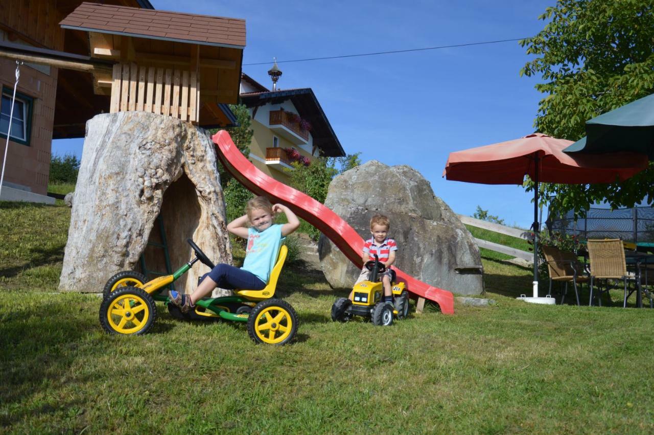 Aignerhof Villa Haus im Ennstal Eksteriør bilde